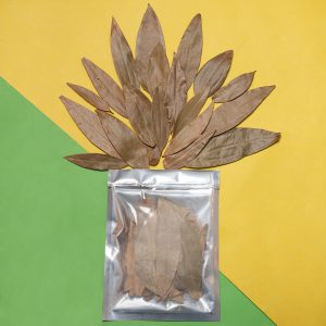 برگ بو